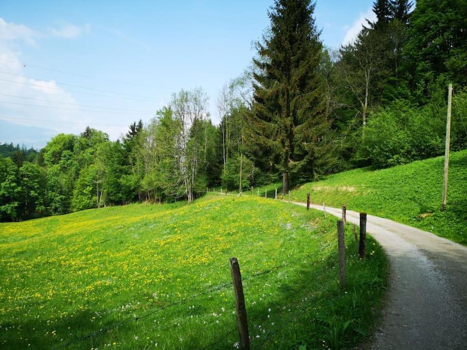 Forest View Apartment In Leissigen By Interlaken With No Kitchen Bagian luar foto